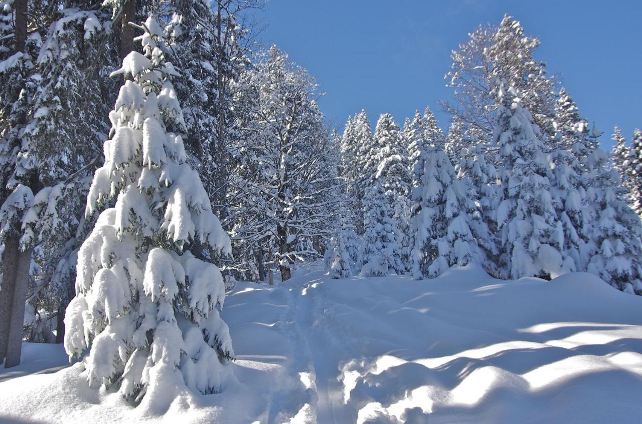 Apartment "Johann" Aktivurlaub Im Bregenzerwald 梅劳 外观 照片