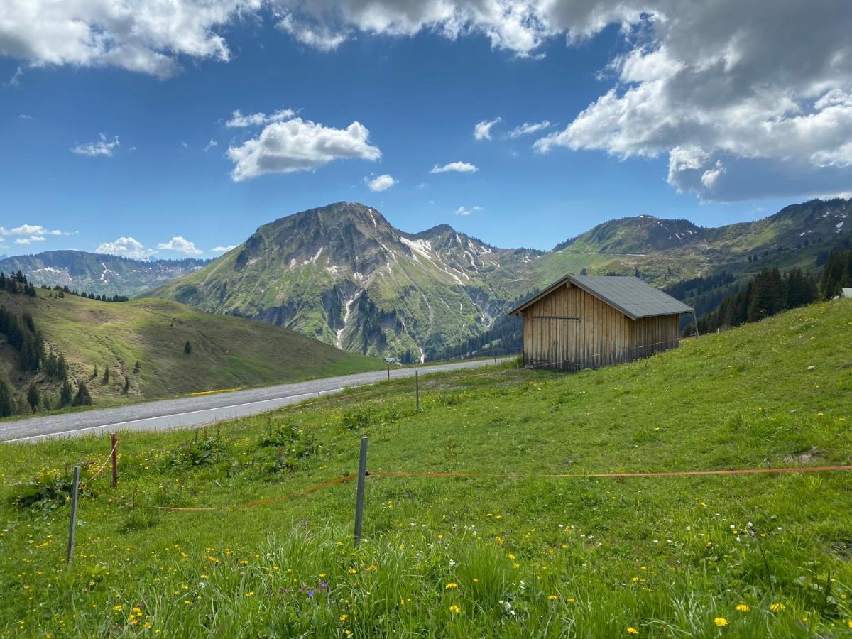 Apartment "Johann" Aktivurlaub Im Bregenzerwald 梅劳 外观 照片