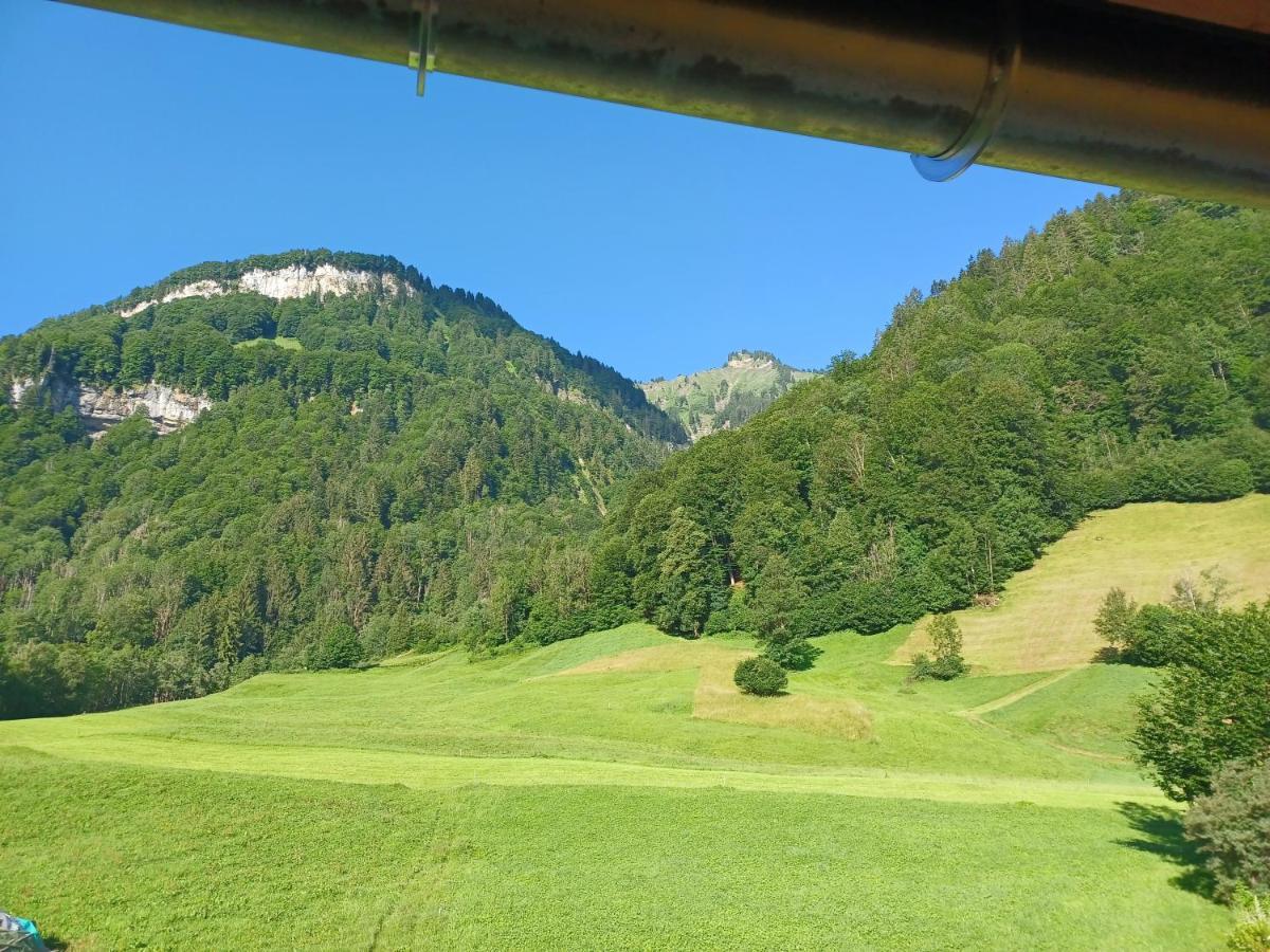 Apartment "Johann" Aktivurlaub Im Bregenzerwald 梅劳 外观 照片